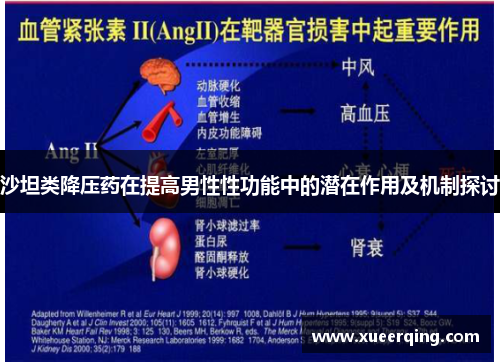 沙坦类降压药在提高男性性功能中的潜在作用及机制探讨